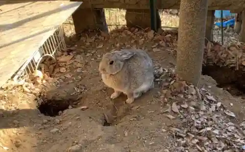 太子堂八幡神社(東京都)