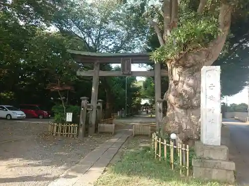 畑子安神社の鳥居