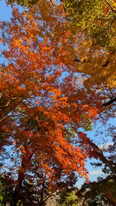 北野天満宮(京都府)
