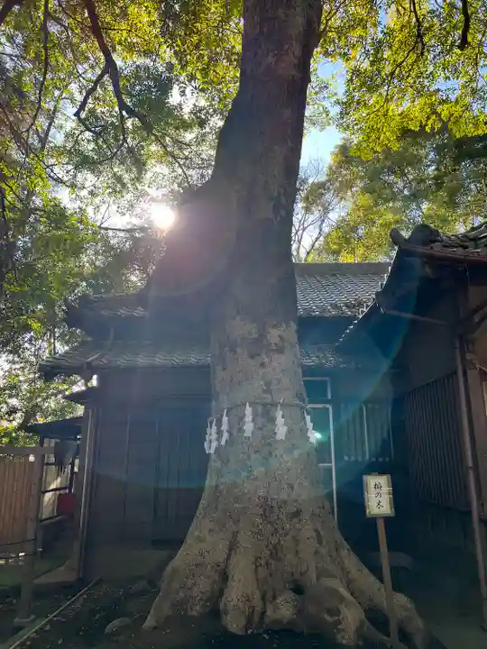 氷川女體神社(埼玉県)