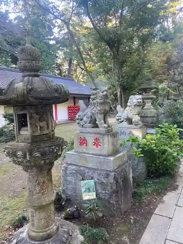 大宝八幡宮の狛犬