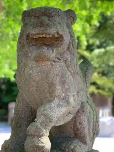 新倉富士浅間神社の狛犬