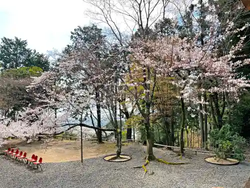 日吉東照宮の自然