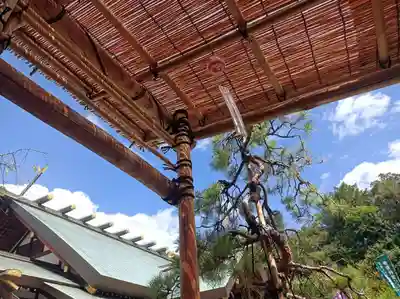 東京大神宮(東京都)