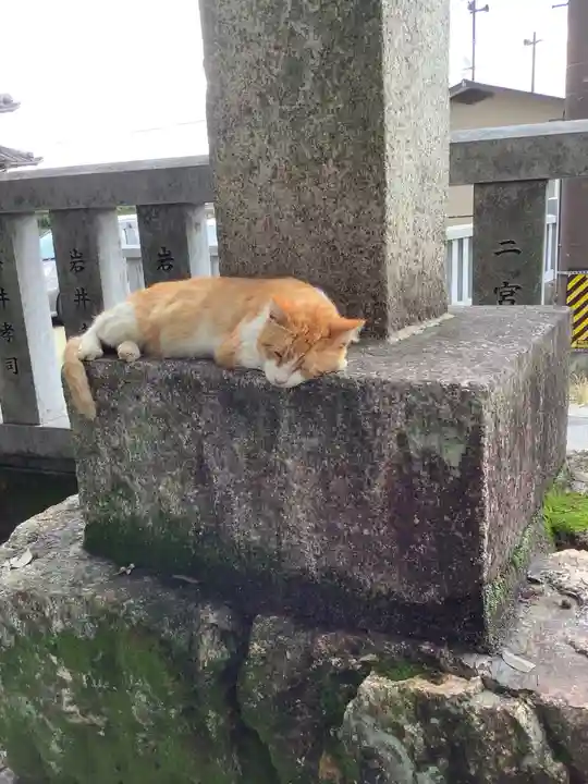 御井神社の動物