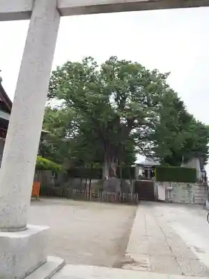白山神社のその他建物
