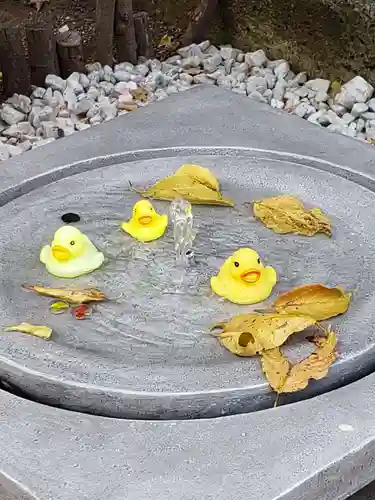 高円寺氷川神社の庭園