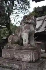 金鑚神社の狛犬