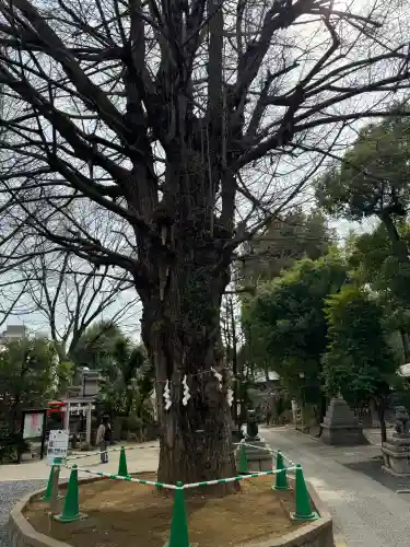 鳩森八幡神社の{uncategorized: "未分類", other: "その他", undefined: "問題あり", building: "その他建物", grave: "お墓", sacred_gate: "鳥居", guardian: "狛犬", statue: "像", buddha: "仏像", history: "歴史", nature: "自然", garden: "庭園", animal: "動物", pagoda: "塔", temizu: "手水舎", mountain_gate: "山門・神門", sanctuary: "本殿・本堂", subordinate: "末社・摂社", art: "芸術", scenery: "景色", jizo: "地蔵", ema: "絵馬", goshuin: "御朱印", omikuji: "おみくじ", items: "授与品その他", amulet: "お守り", goshuincho: "御朱印帳", eats: "食事", festival: "お祭り", votive_dance: "神楽", shichigosan: "七五三参", wedding: "結婚式", experience: "体験その他", initially: "初詣", around: "周辺", anti_infection: "感染症対策"}