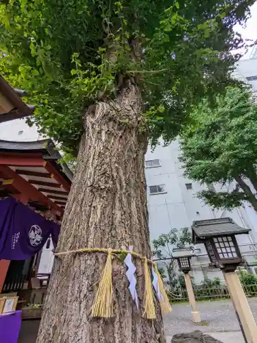 日本橋日枝神社(東京都)