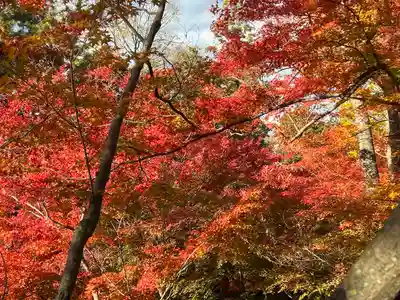 北野天満宮(京都府)