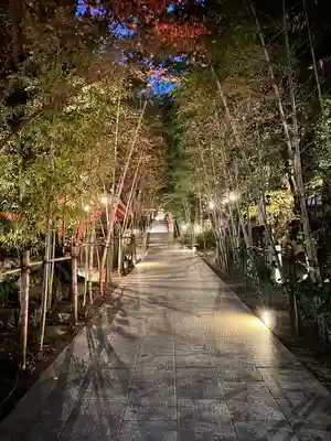 來宮神社(静岡県)