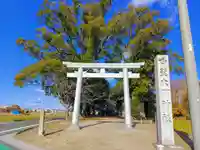 白髭大明神社(上祖父江)の鳥居