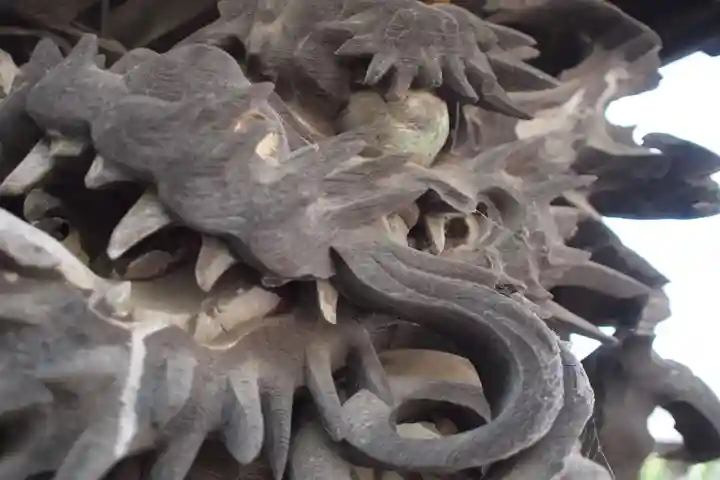 前玉神社の芸術