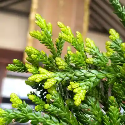 七重浜海津見神社(北海道)