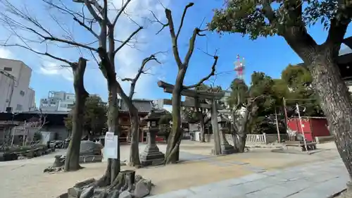 堺戎神社の鳥居