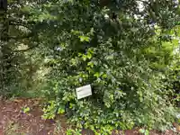 島名神社(群馬県)