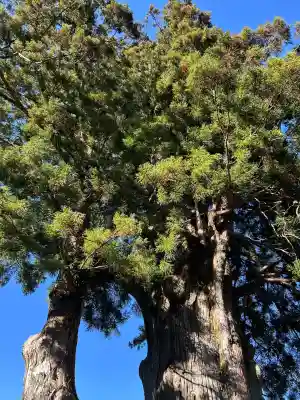 月瀬神社(長野県)