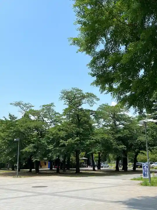 櫻岡大神宮の自然