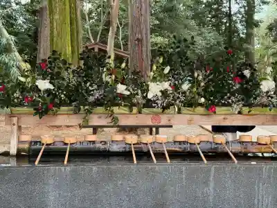武蔵一宮氷川神社(埼玉県)