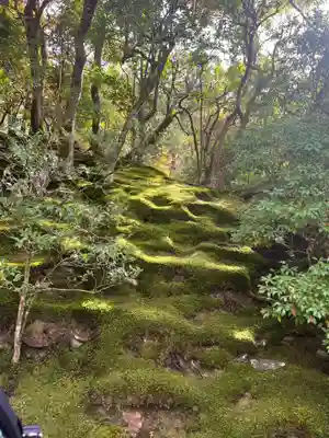 慈照寺（慈照禅寺・銀閣寺）(京都府)