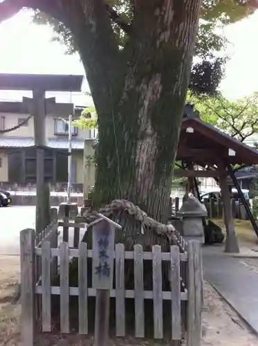 大神神社（花池）の自然