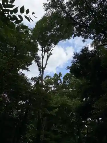 深大寺(東京都)