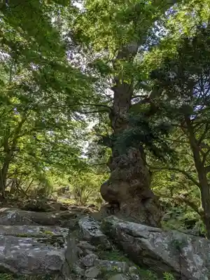 金華山黄金山神社(宮城県)