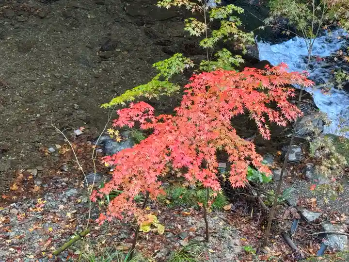 貴船神社結社(京都府)
