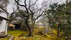 霊鑑寺門跡(京都府)