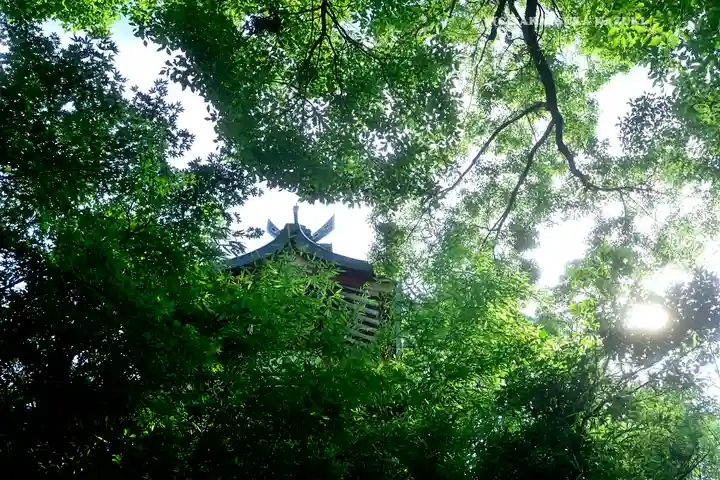 多摩川浅間神社(東京都)
