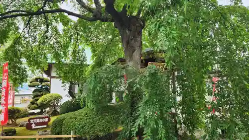 身照寺(岩手県)