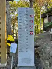 手稲神社の建物その他