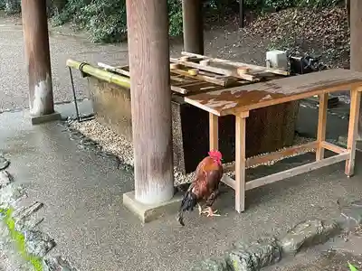 八剣宮（熱田神宮別宮）(愛知県)