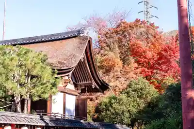 宇治神社(京都府)