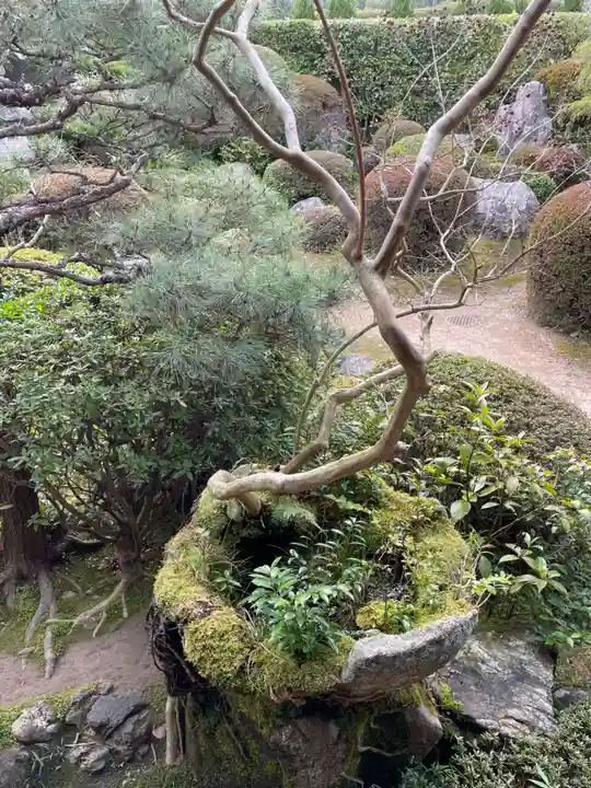 穴太寺(京都府)