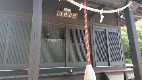 愛宕神社の本殿・本堂