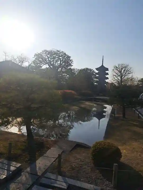東寺(教王護国寺)(京都府)