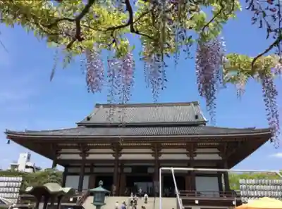 西新井大師総持寺の本殿・本堂