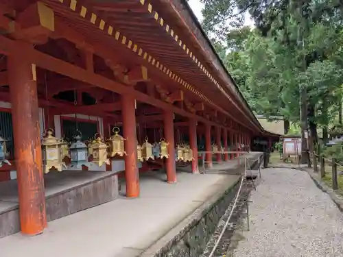 春日大社(奈良県)