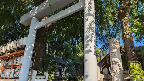 波除神社（波除稲荷神社）(東京都)