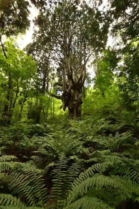 白島神社(島根県)