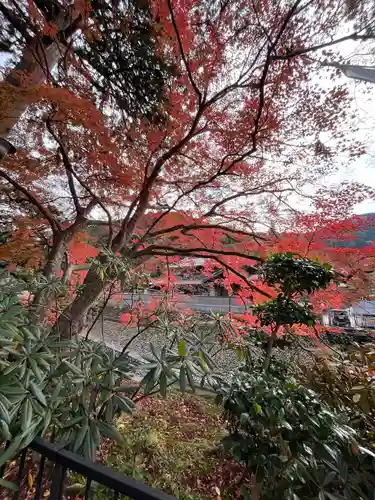 室生寺(奈良県)