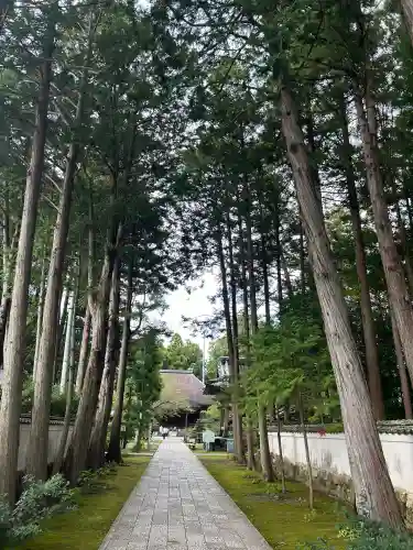 國分寺(高知県)
