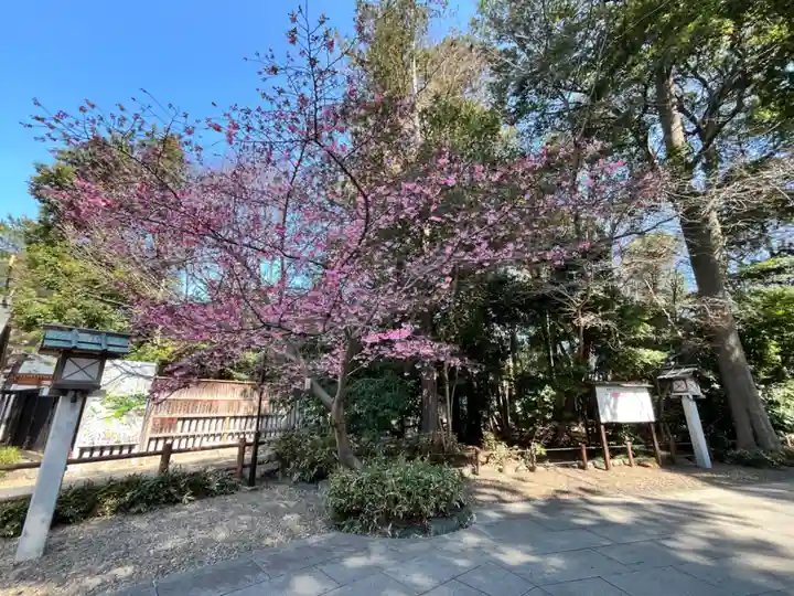 櫻木神社(千葉県)