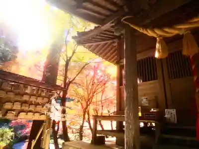 八女津媛神社の絵馬