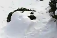 宝光寺(北海道)