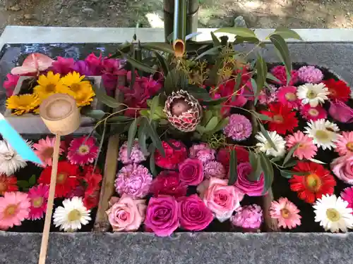 坂本八幡神社(徳島県)