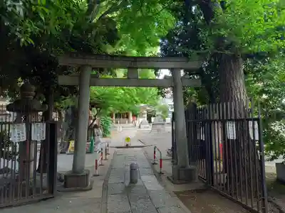荻窪白山神社(東京都)