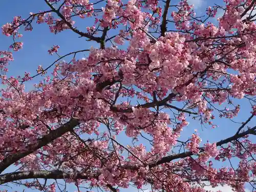 かっぱの寺 栖足寺の自然